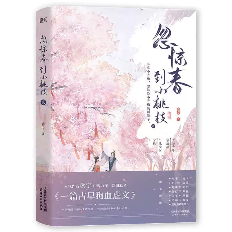 【预购】忽惊春到小桃枝 / 一篇古早狗血虐文 / 黍宁 著